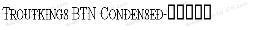 Troutkings BTN Condensed字体转换